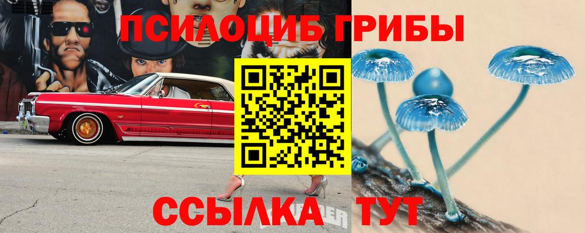 Галлюциногенные грибы Magic Shrooms Каменск-Шахтинский