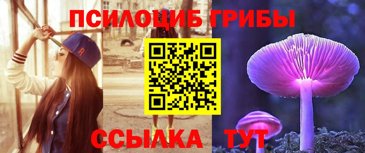 Каменск-Шахтинский  Галлюциногенные грибы Psilocybine cubensis  где найти наркотики  Вход с VPN 